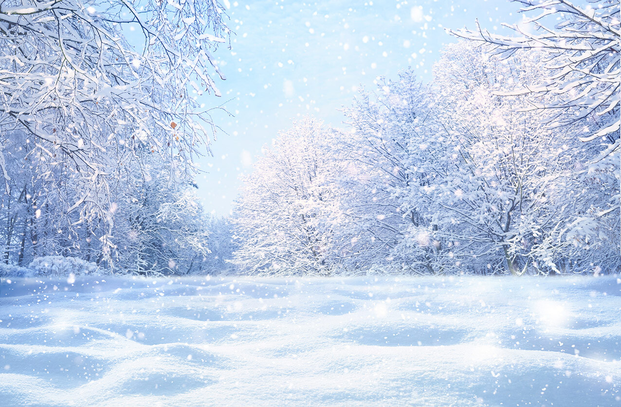 10x8ft Nature Winter Landscape Snowfall Forest Photo Background Vinyl Backdrop