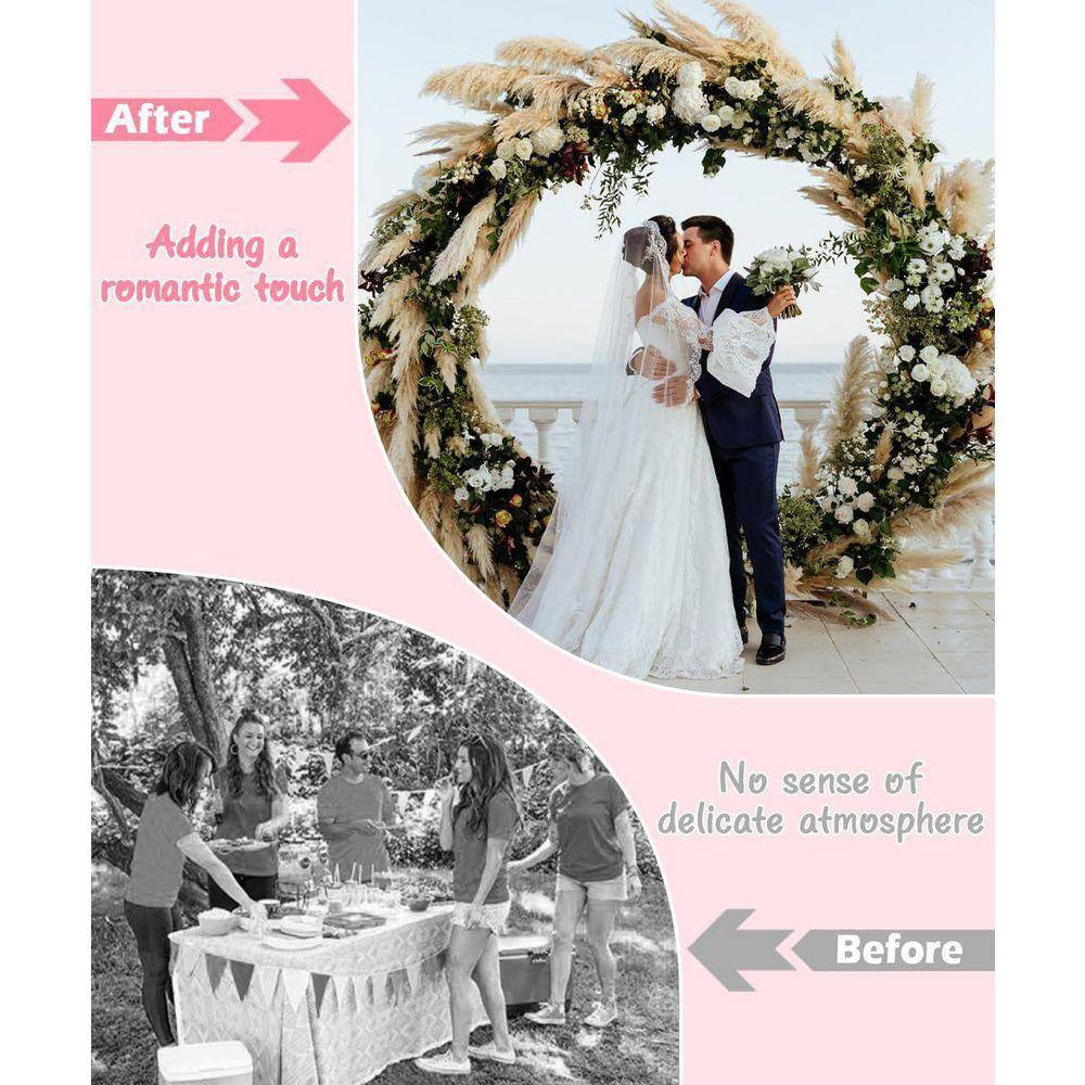 Metal Arch Backdrop Stand 102 W X 88.8 H Double-Tube Structure for Weddings and