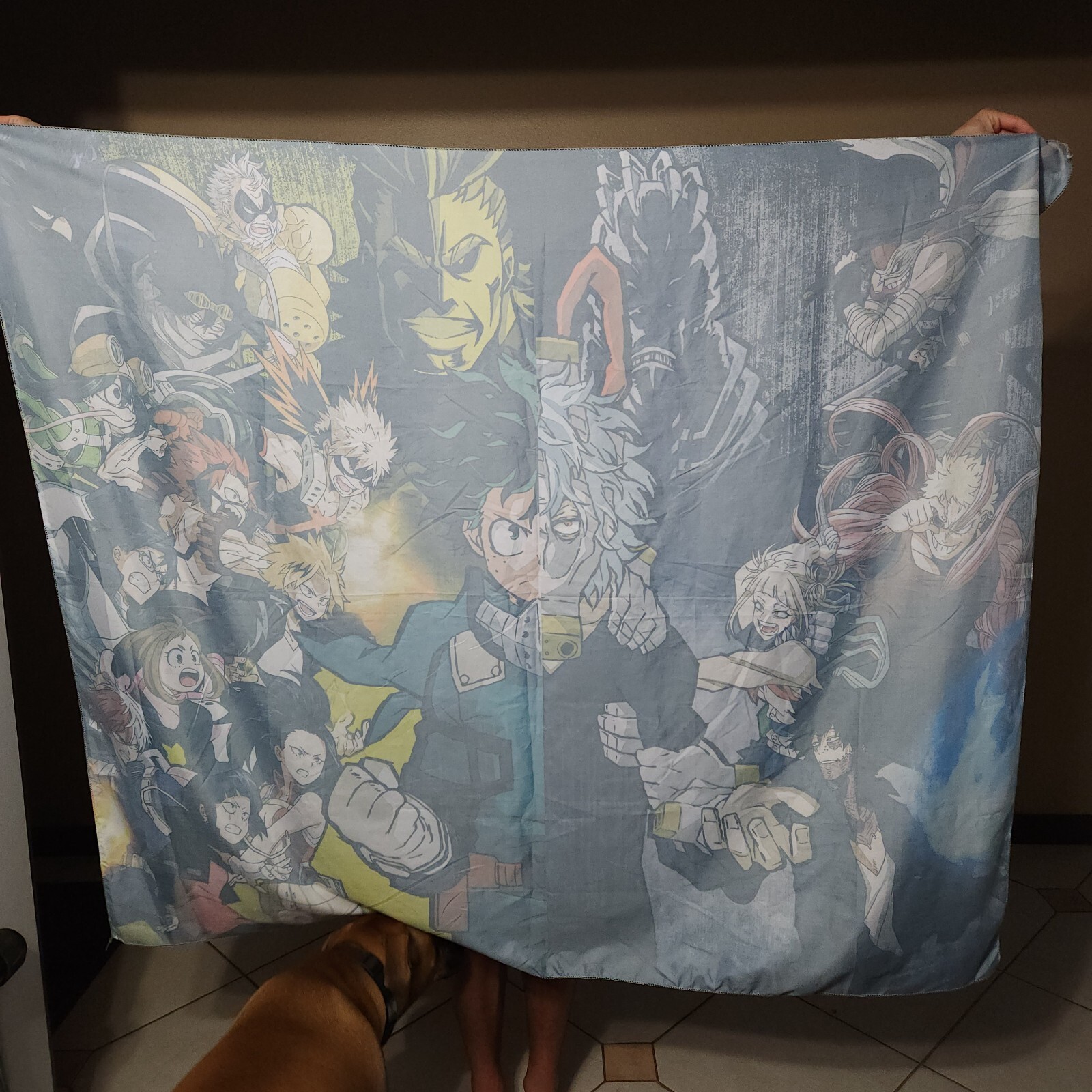 60″x50″ in My Hero Academia Anime Photo Backdrop Tapestry Background Studio Prop