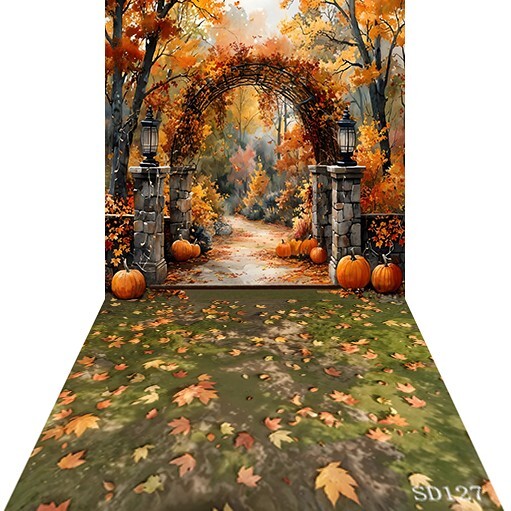 10’x20’CP Pumpkin Doorway Fall Scene Microfiber Fabric background backdrop SD127