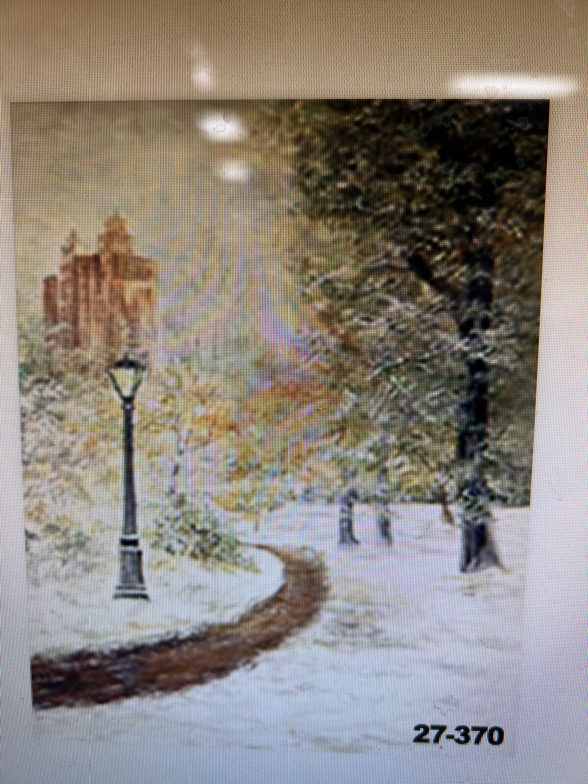10*20 Ft Muslin 100% Airbrush Painted Photo Backdrop City Winter 27-370