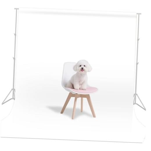 Photo Backdrop for Photoshoot Background for Portrait, Product 5X7 FT White