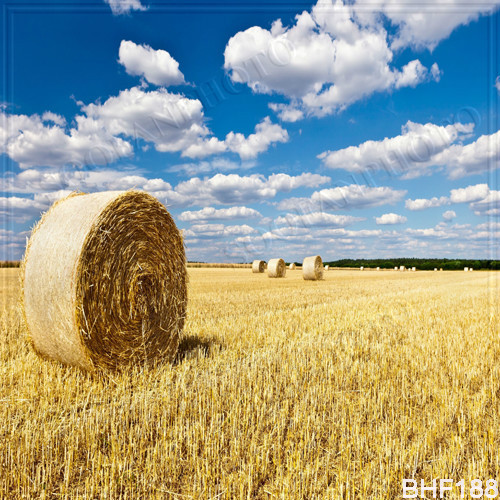 Autumn 10’x10′ Computer-painted Scenic Photo Background Backdrop BHF188