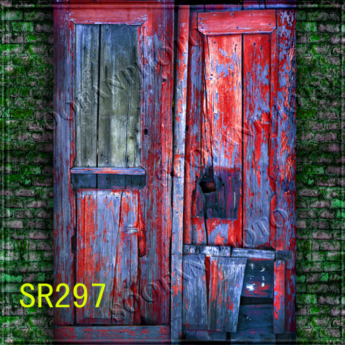 Door 8’x8′ Computer-painted Scenic Photo background backdrop SR297B88