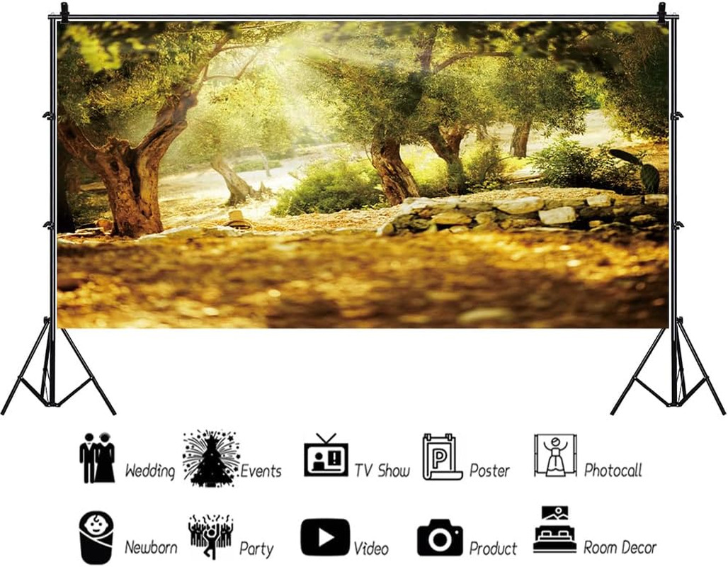20X10Ft Natural Scenery Backdrop Olive Trees Sunshine Wonderland Dreamy Haze Blu