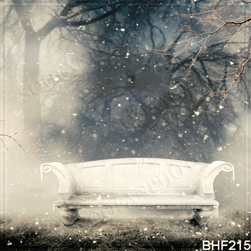 Outdoor 10’x10′ Computer / Digital (CP) Scenic Photo Background Backdrop BHF215