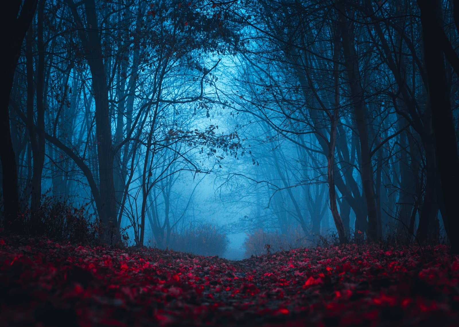 BELECO 7x5ft Fabric Mysterious Foggy Forest Backdrops for 7x5FT, A11253