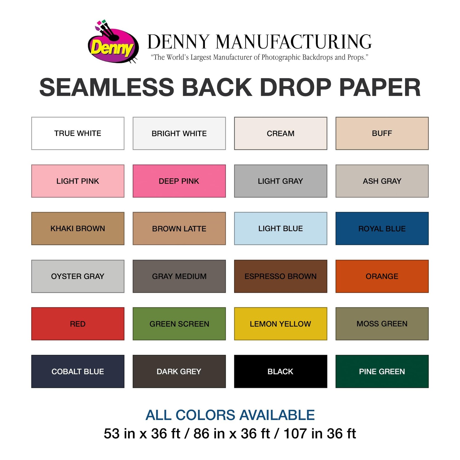 Denny Mfg – Seamless Paper Backdrop for Photoshoot 107 in x 36 ft, Light Gray