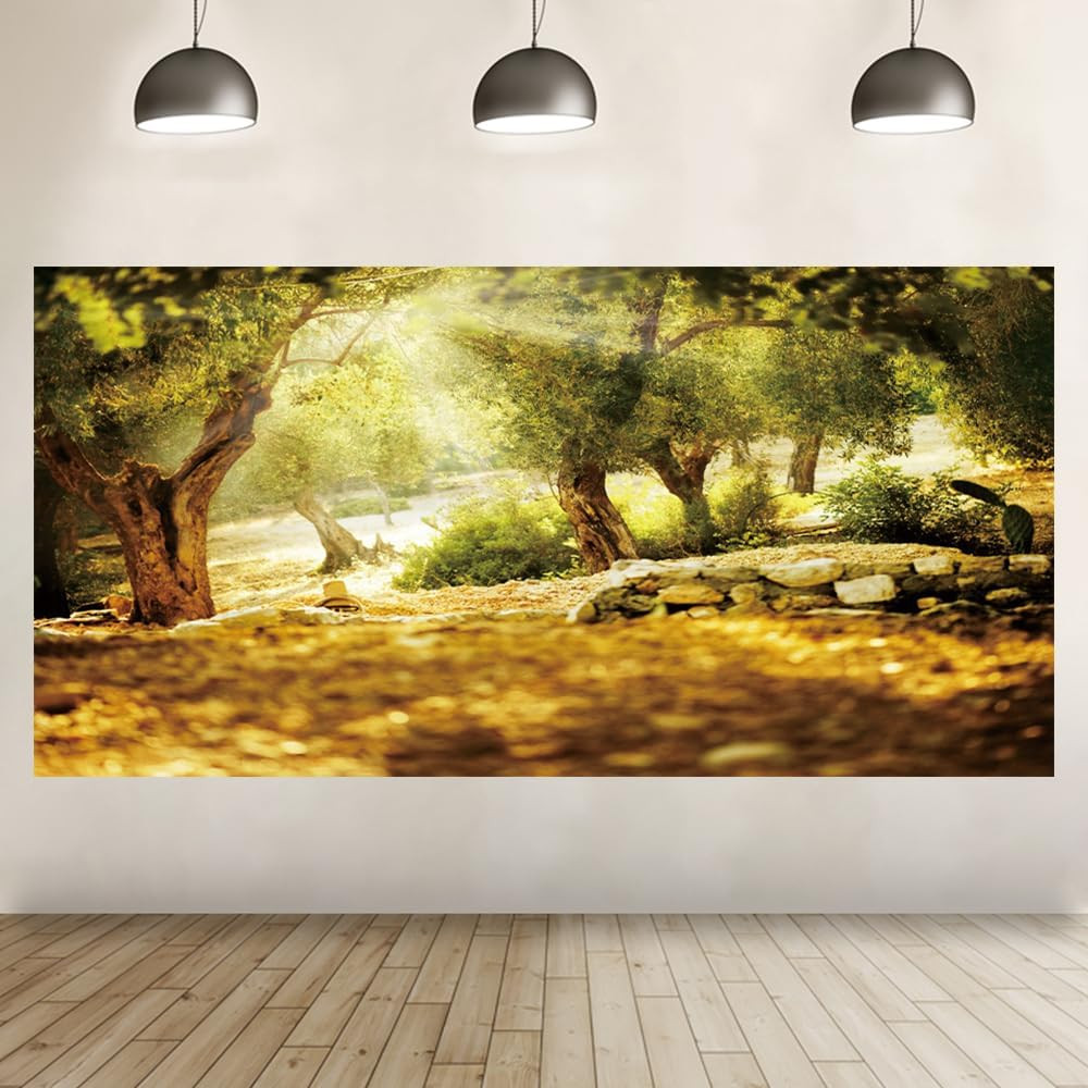 20X10Ft Natural Scenery Backdrop Olive Trees Sunshine Wonderland Dreamy Haze Blu