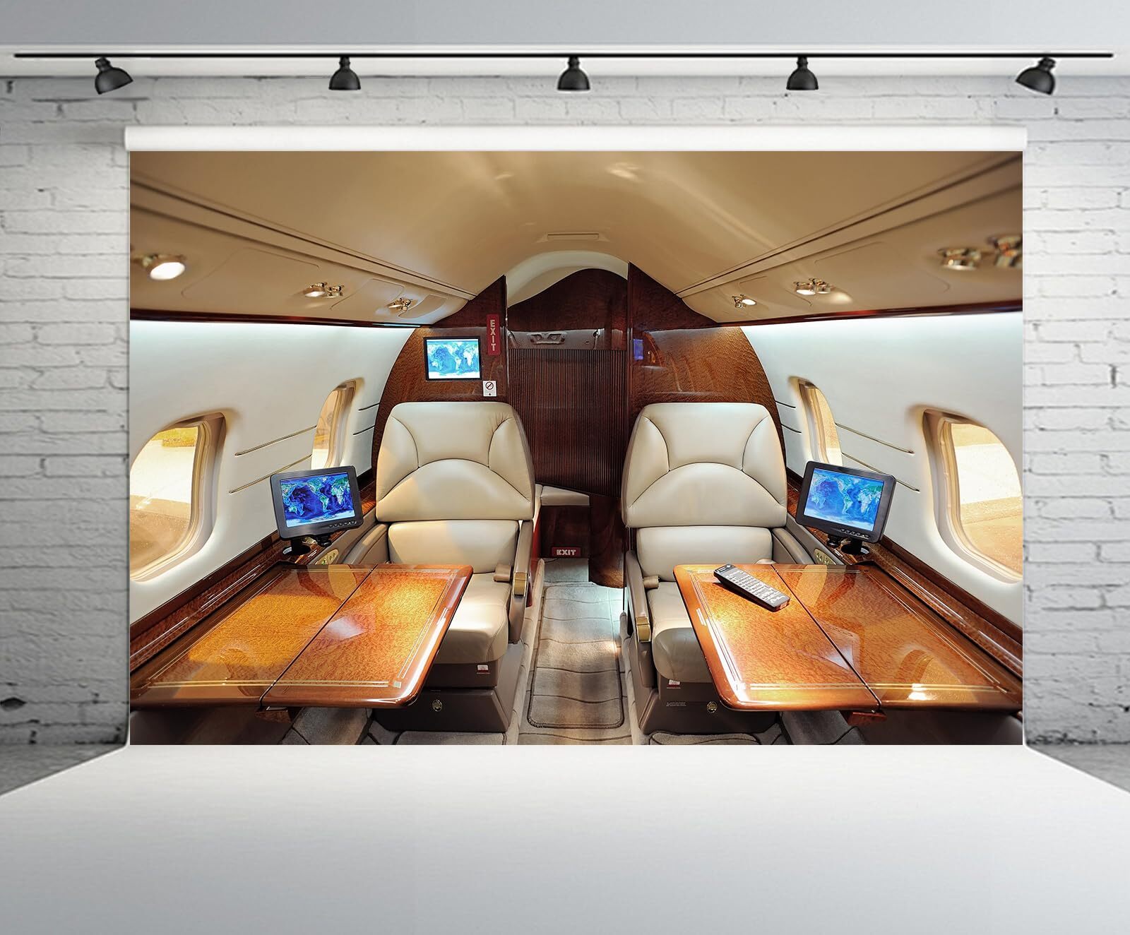 7ftx5ft Airplane Backdrop Airplane First-Class Cabin Interior Seats Photo Bac…