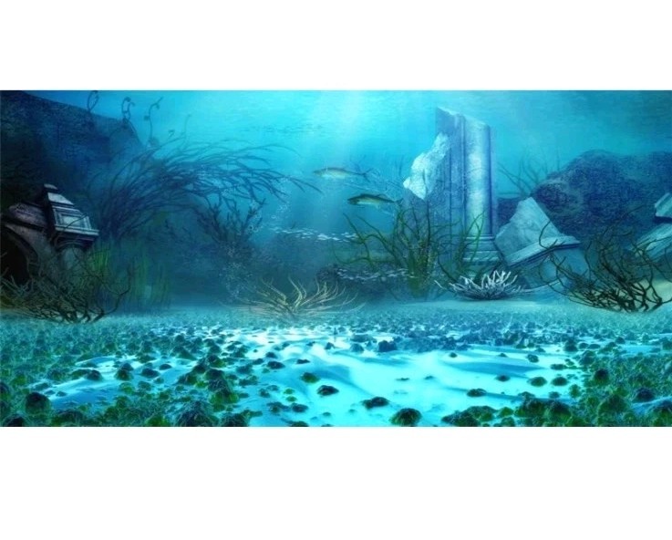 Yeele Huge15x8ft Underwater Background Marine Backdrop Photography Studio Props