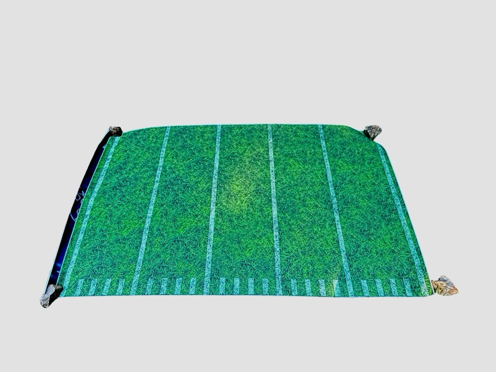 New Photo Backdrop Football Field Grass 96 X 60 Inch