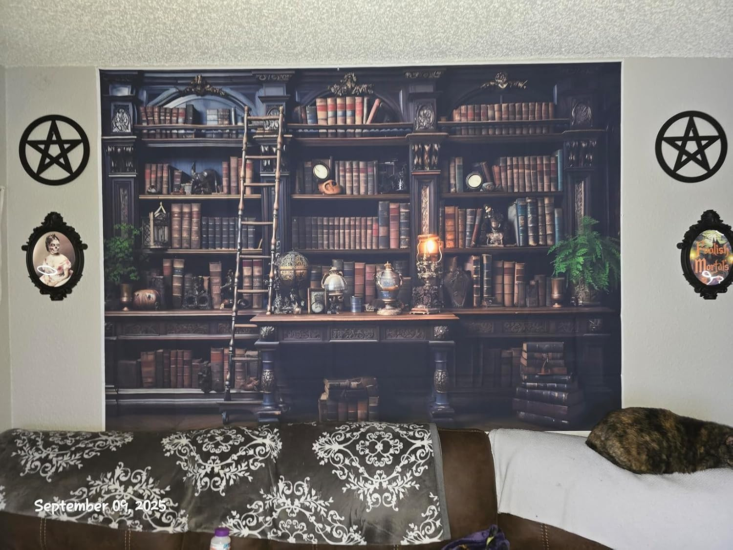Medieval Bookshelf Backdrop Bookcase Photography Background Bookshelf Library