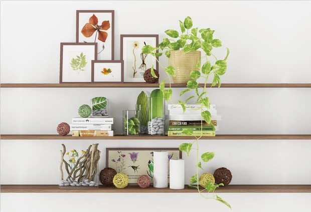 7x5ft Modern Living Room Backdrop Green Plant Bookcase Office Zoom Backdrop f…
