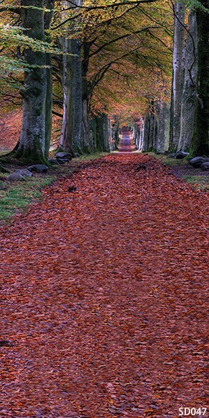 10’x20′ CP Trees Lane Scenic Autumn Microfiber Fabric background backdrop SD047