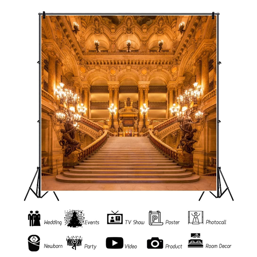 Renaiss 6x6ft Gold Luxurious Palace Backdrop for 6x6ft, WSNBK04835