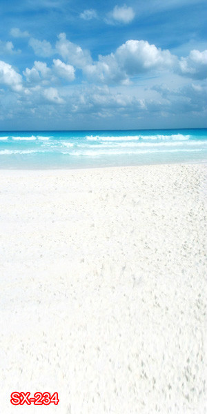 Seaside 10’x20’Computer/Digital Vinyl Scenic Photo Backdrop Background SX234B88