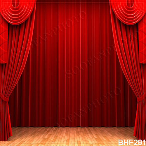 Stage 10’x10′ Computer/digital painted Scenic Photo Background Backdrop BHF291