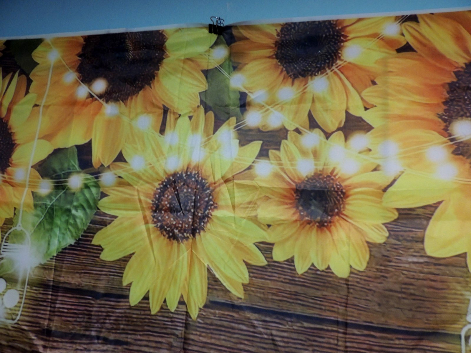 7 x 5 Photo Backdrop image sunflowers & Lights Yellow Brown Green