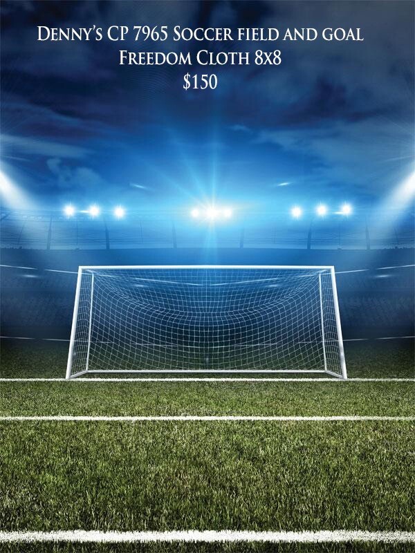Denny’s Freedom Cloth Mfg CP7965 Soccer Field Goal Background Photo Shoot 8’x8’