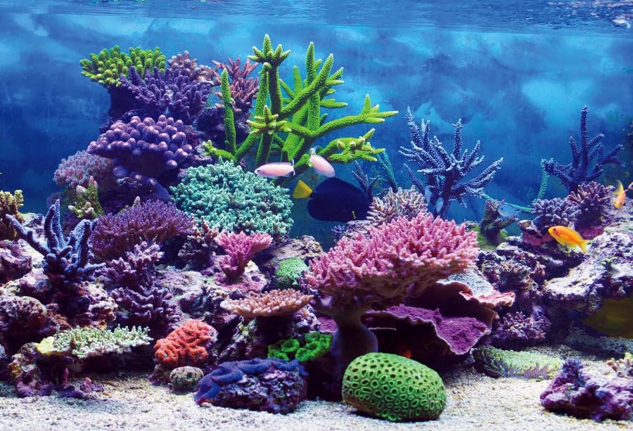 Under The Sea Backdrop 10x8ft Ocean Backdrop Aquarium Background for Hawaii L…