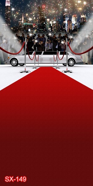 10’x20’CP Stage Cityscape Car Scenic Microfiber Fabric background backdrop SX149