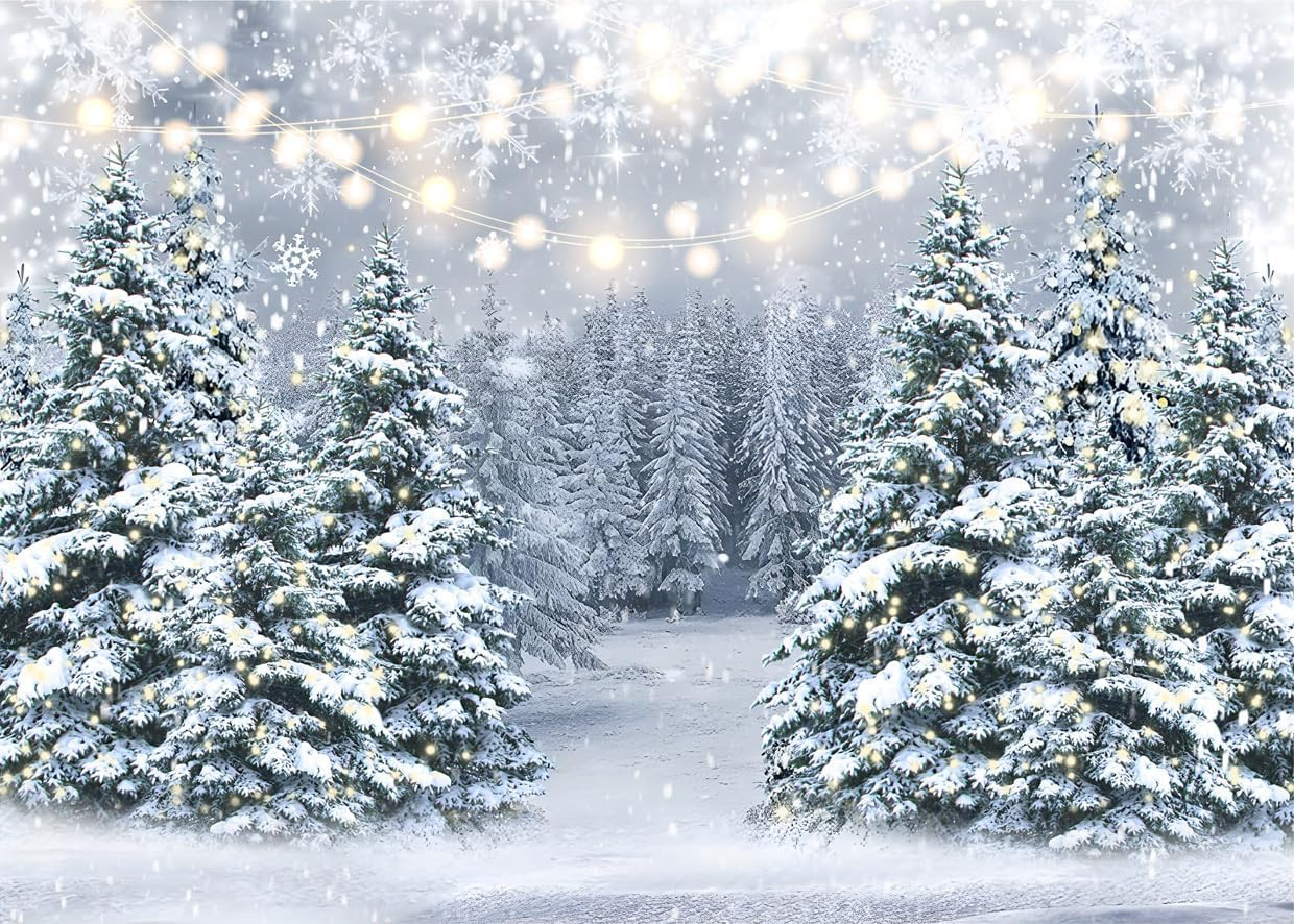 7X5Ft Winter Snow Scenery Backdrop Glitter Winter Forest Photography Backdrop Sn