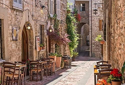 10x8ft Photography Background Italian Wedding Backdrop European Travel Downto…