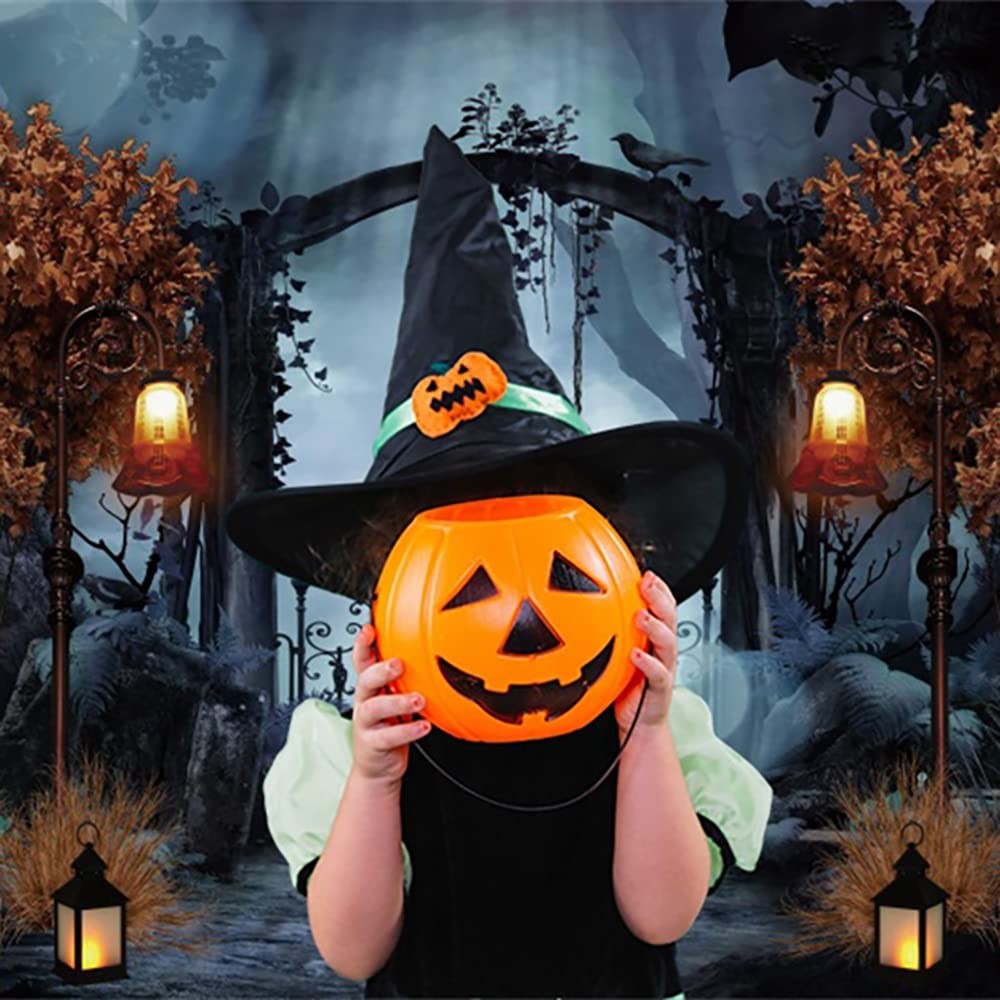 8x6ft Durable Fabric Halloween Backdrop, Horror Cemetery, Iron Gate, Scary