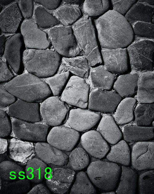 Brick 5’x8′ Computer-painted Scenic Photo background backdrop SS318B881