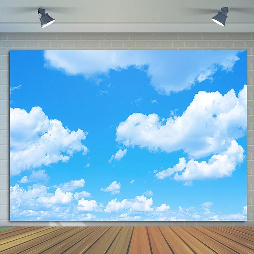 Vinyl 8X6FT Blue Sky White Clouds Photo Background Sunny 8x6ft, Blue,White