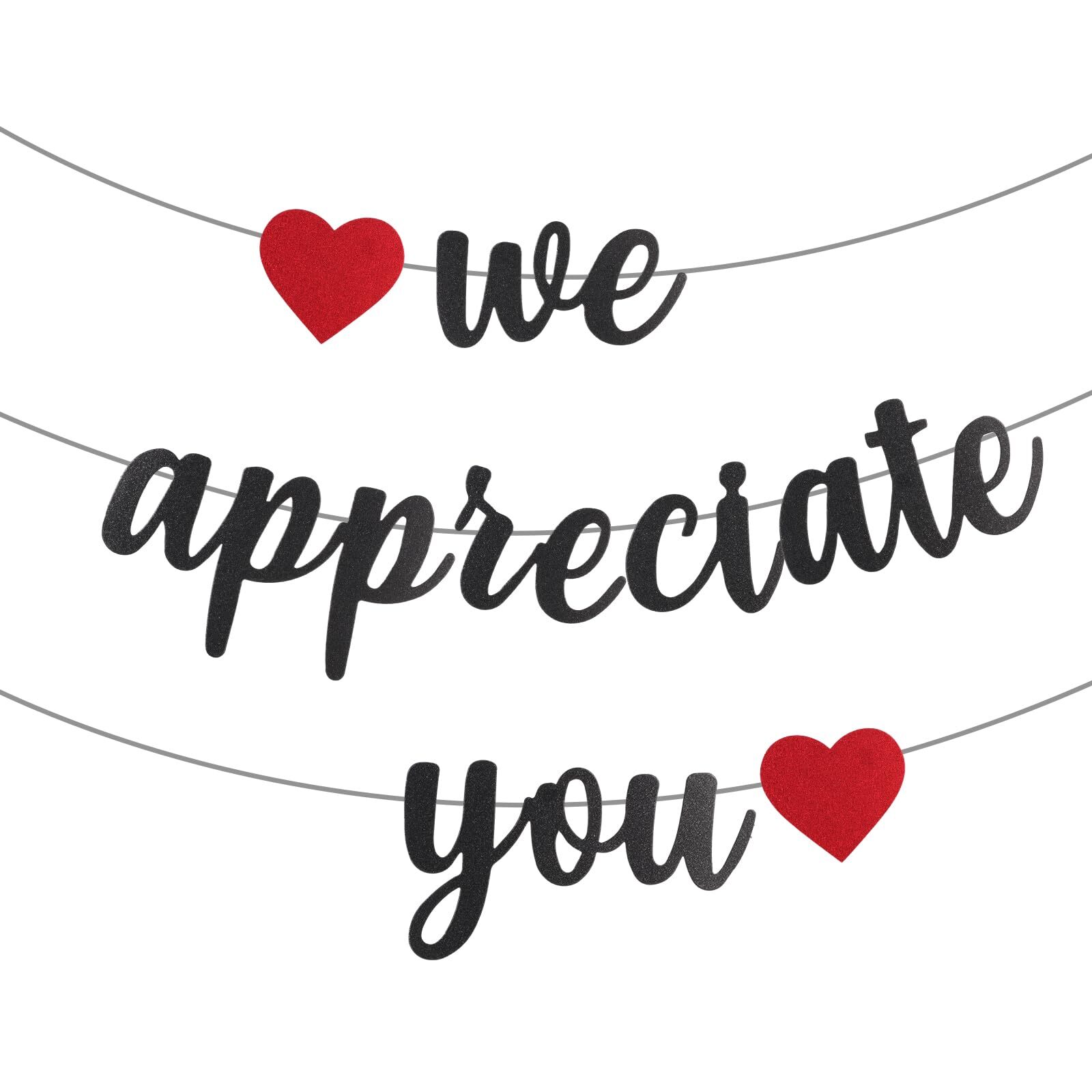 We Appreciate You Banner Glitter Appreciation Backdrop for Doctor Nurse Teacher