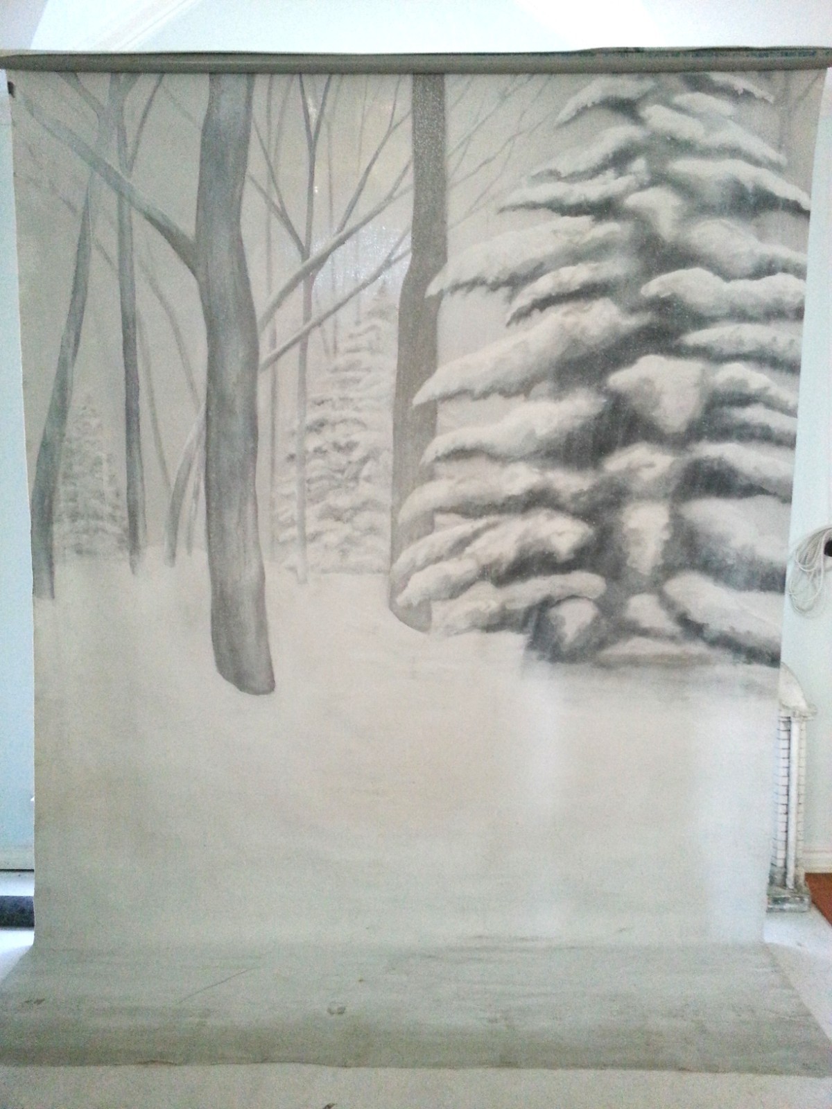 Snow / Winter / Forest Scene _ Airbrushed Muslin Photography Backdrop_Detailed