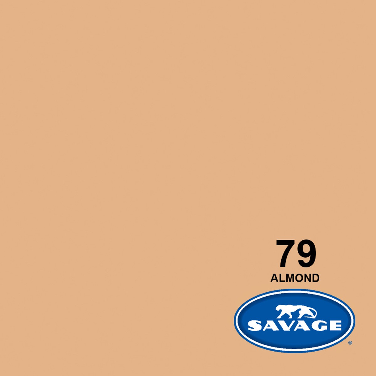 Savage Widetone Seamless Background Paper, 53″ wide x 36′, Almond, #79