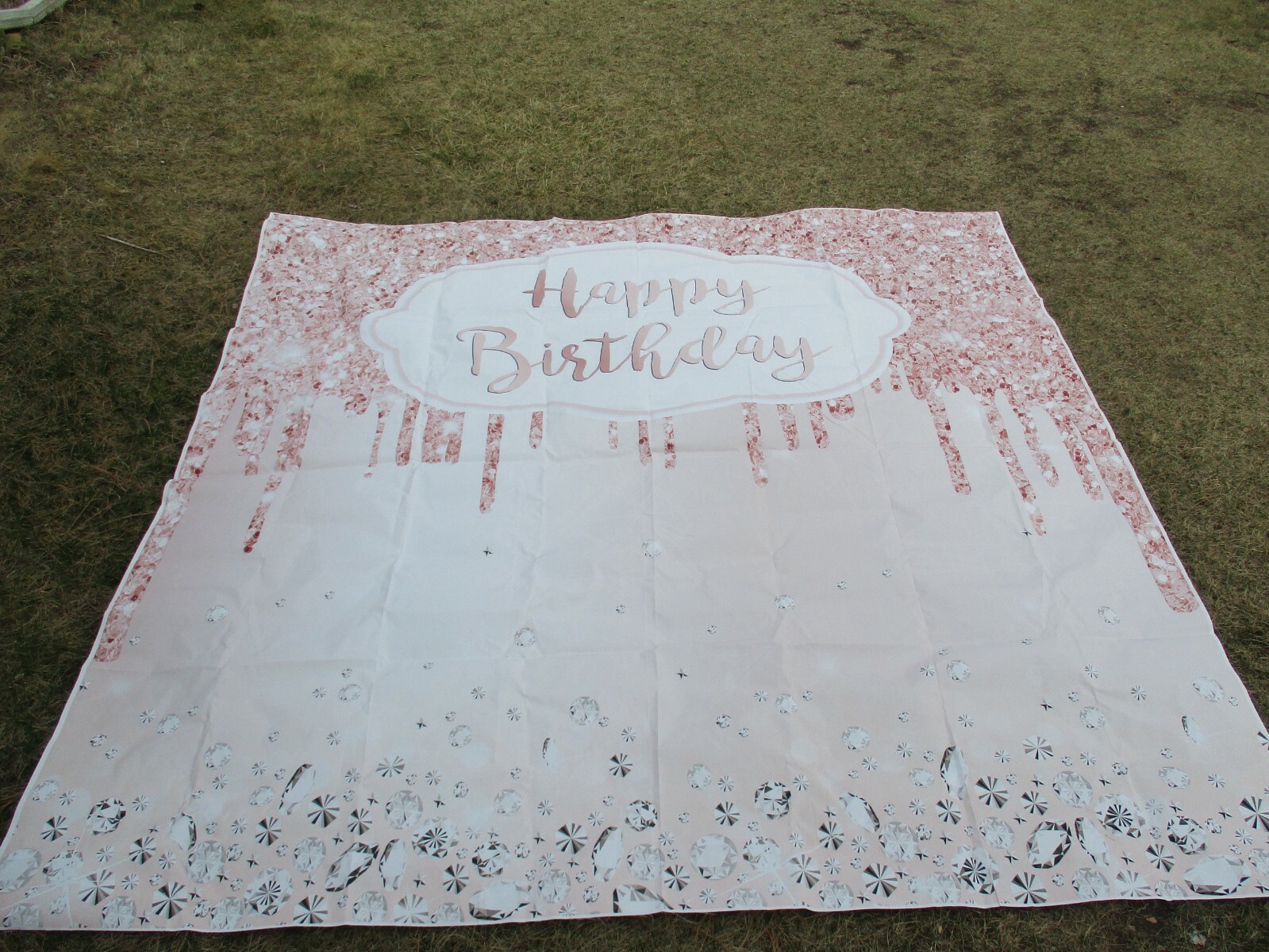 Birthday Photo Picture Backdrop Party Props Princess Girls Vinyl 8×8 ft