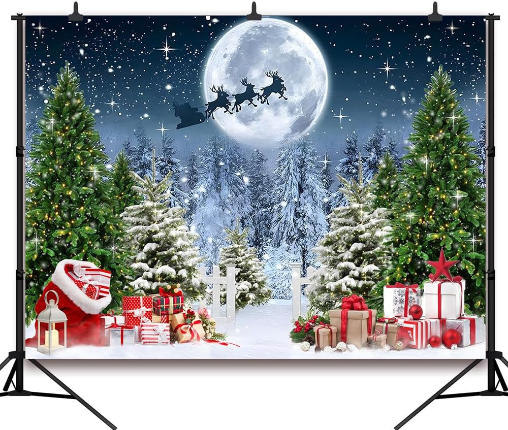 7X5 FT Christmas Scene Backdrop Xmas Tree Winter Forest Scene Wonderland North P