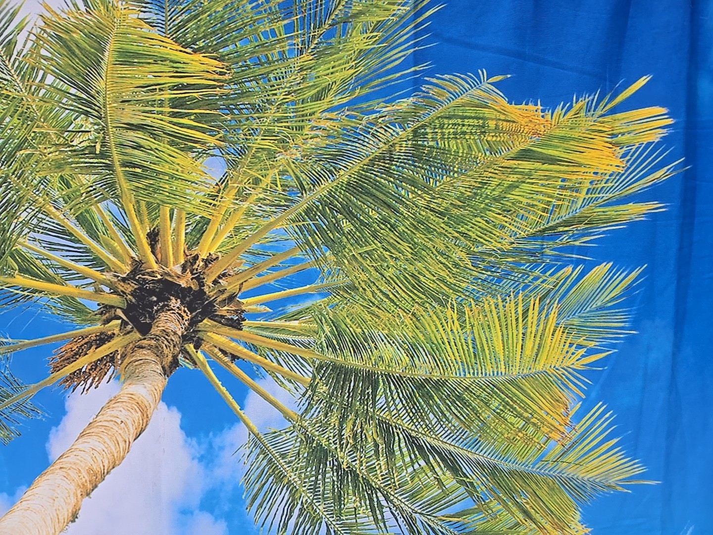 Beach Scene Fabric Photography Backdrop 57″x72″