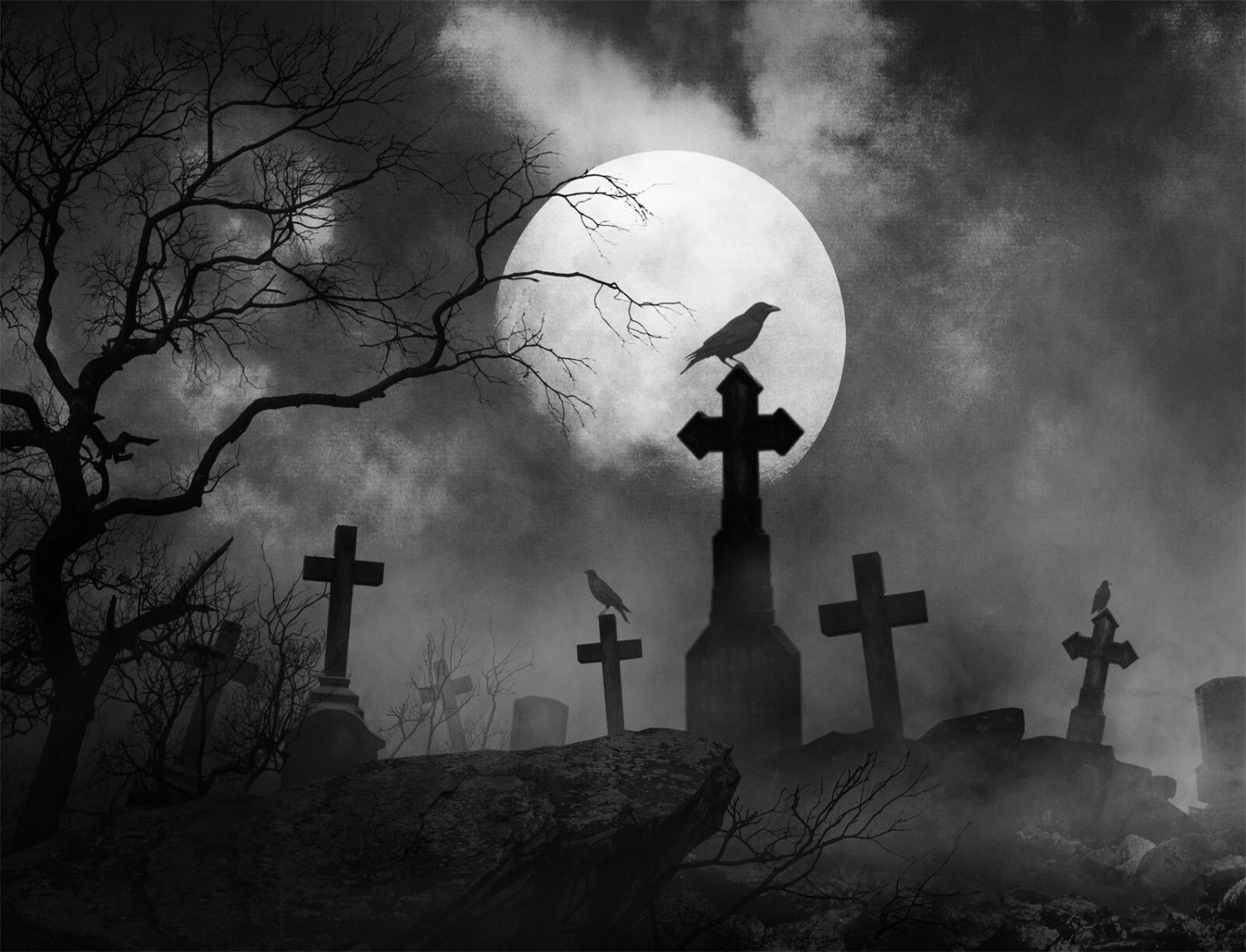 10x8ft Spooky Full Moon Dead Tree Bat Halloween Vinyl Backdrop Photo Background