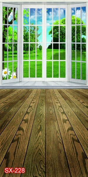 10’x20′ CP Indoor Window Scenic Microfiber Fabric background backdrop SX228