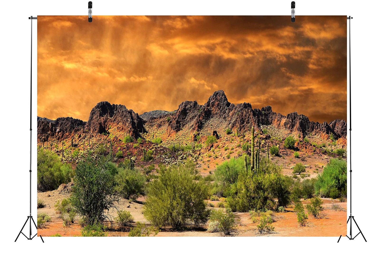 7x5ft Desert Backdrop Sand Dune Cactus Backdrops Mexico Rocky Mountains Backd…