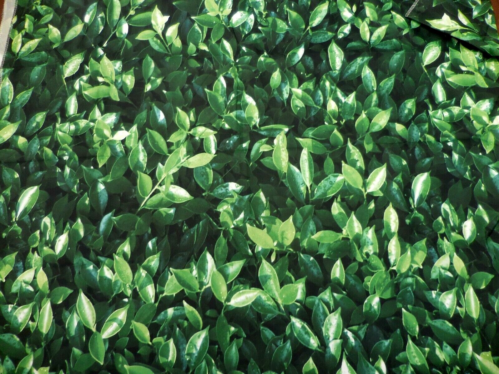 7X5 GREEN LEAVES, GARDEN HEDGE PHOTO BACKDROP ~ NEW ~ FAST SHIPPING