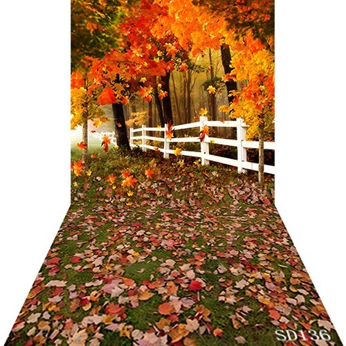 10’x20′ CP Leaves Fall Season Scenic Microfiber Fabric background backdrop SD136