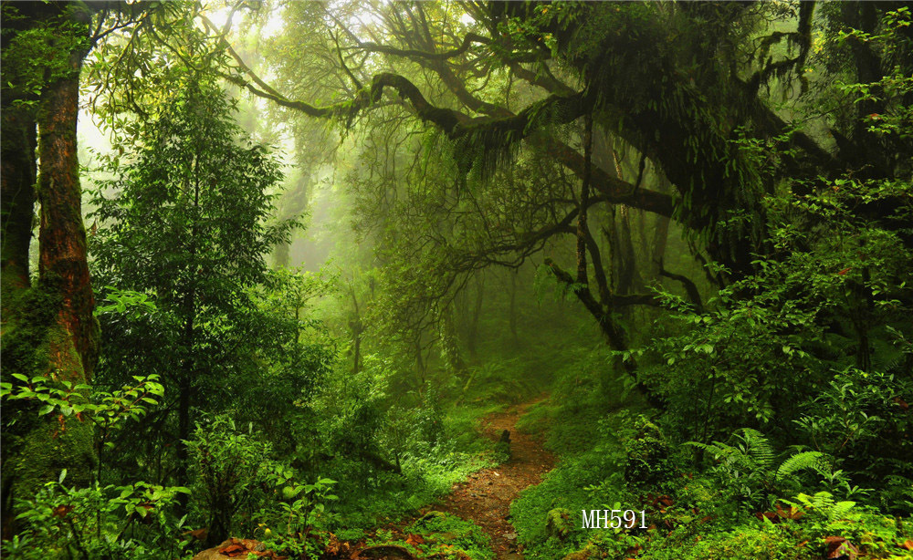 7x5FT Polyester Photo Background Green Jungle Forest Studio Backdrop Washable LB