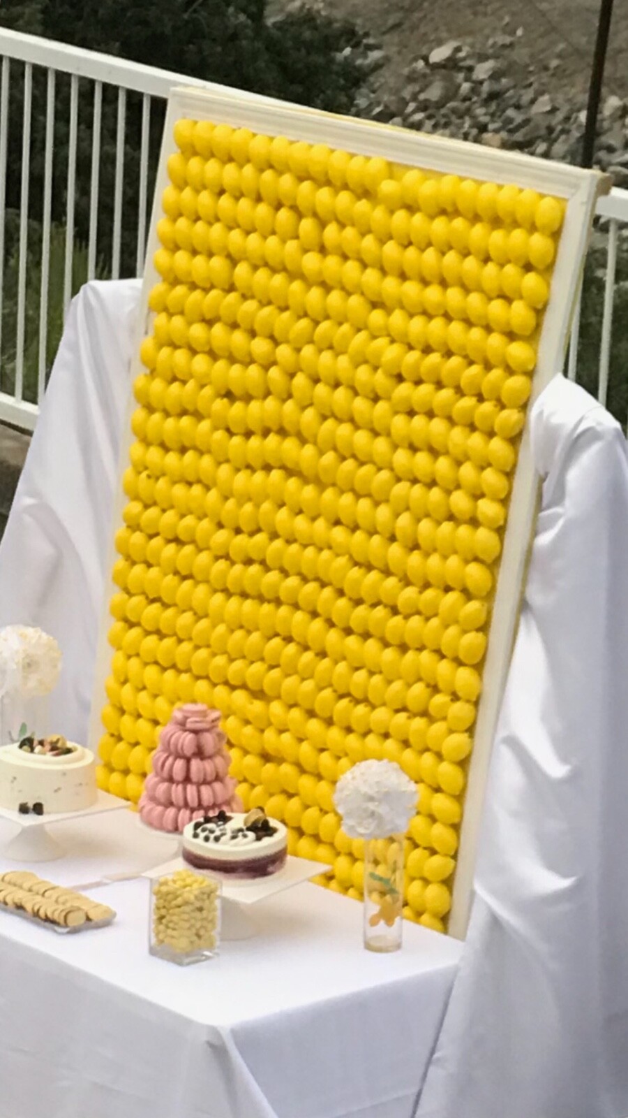 SUMMER SEASON Lemon Backdrop Prop 475 plus faux Lemon 🍋 Display ,local Pickup