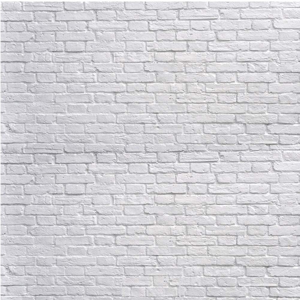 8x8FT White Brick Wall Photo Backdrop Thin Vinyl Photography Background Prop