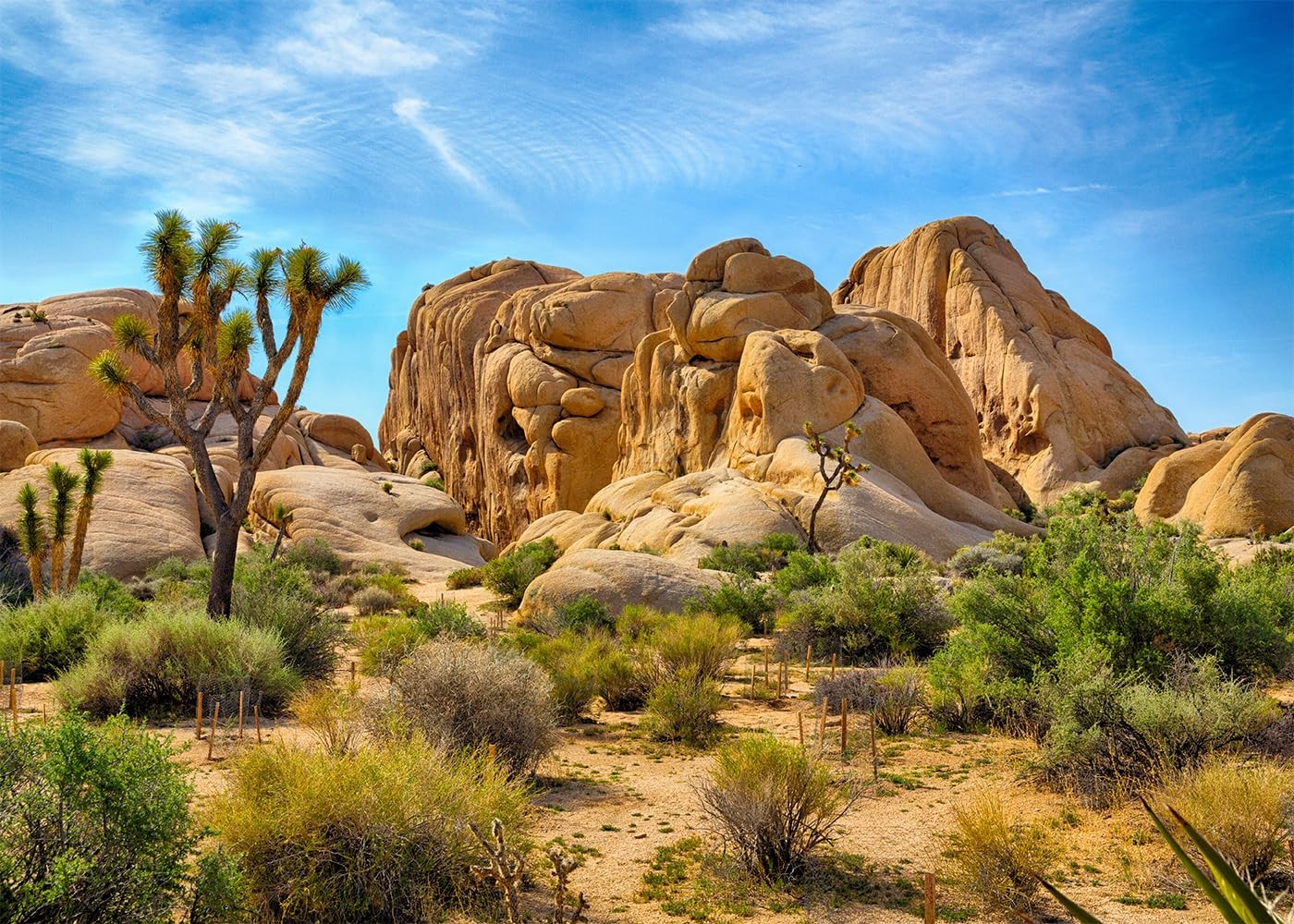 DePhoto 7x5FT Desert Backdrop Odd 7x5FT, Please refer to the main picture