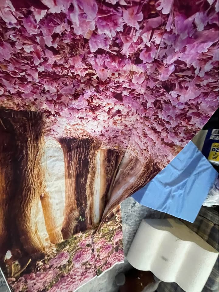 10ft x 10ft luxury photo background