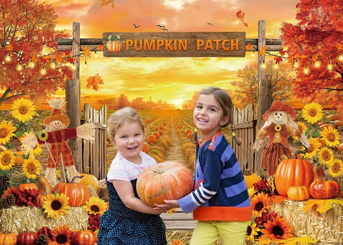 Fall Pumpkin Patch Backdrop Autumn Harvest Pumpkin Field Photography Backgrou…