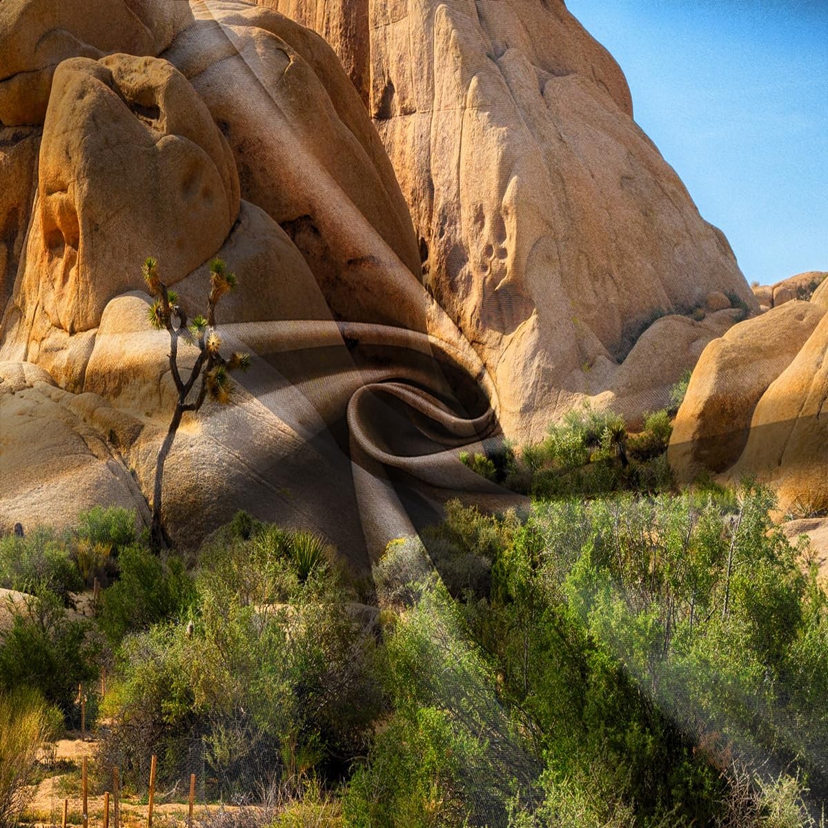 DePhoto 7x5FT Desert Backdrop Odd 7x5FT, Please refer to the main picture