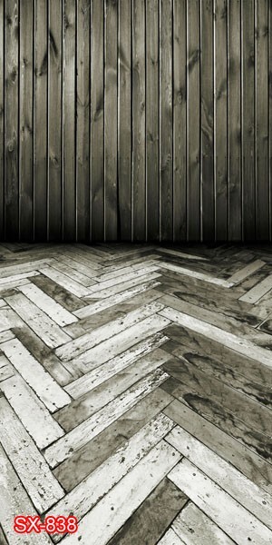 10’x20′ CP Wall Wood Floor Scenic Microfiber Fabric background backdrop SX838